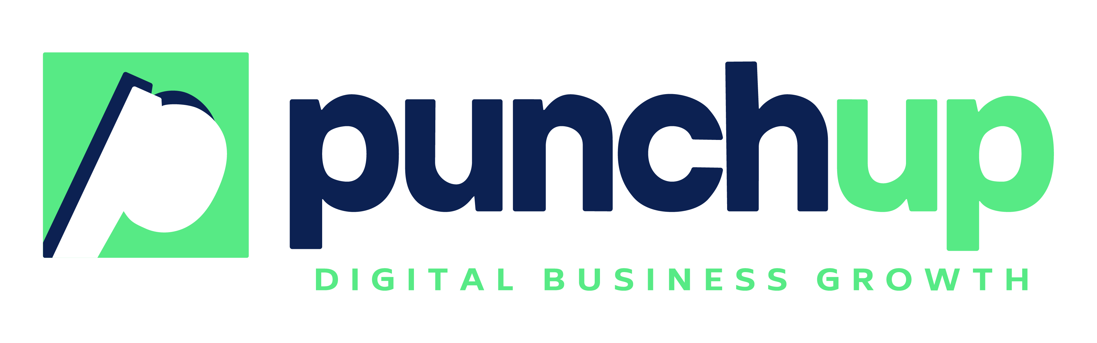 PUNCHUP | Growth, Digital Marketing, Consultancy & Training